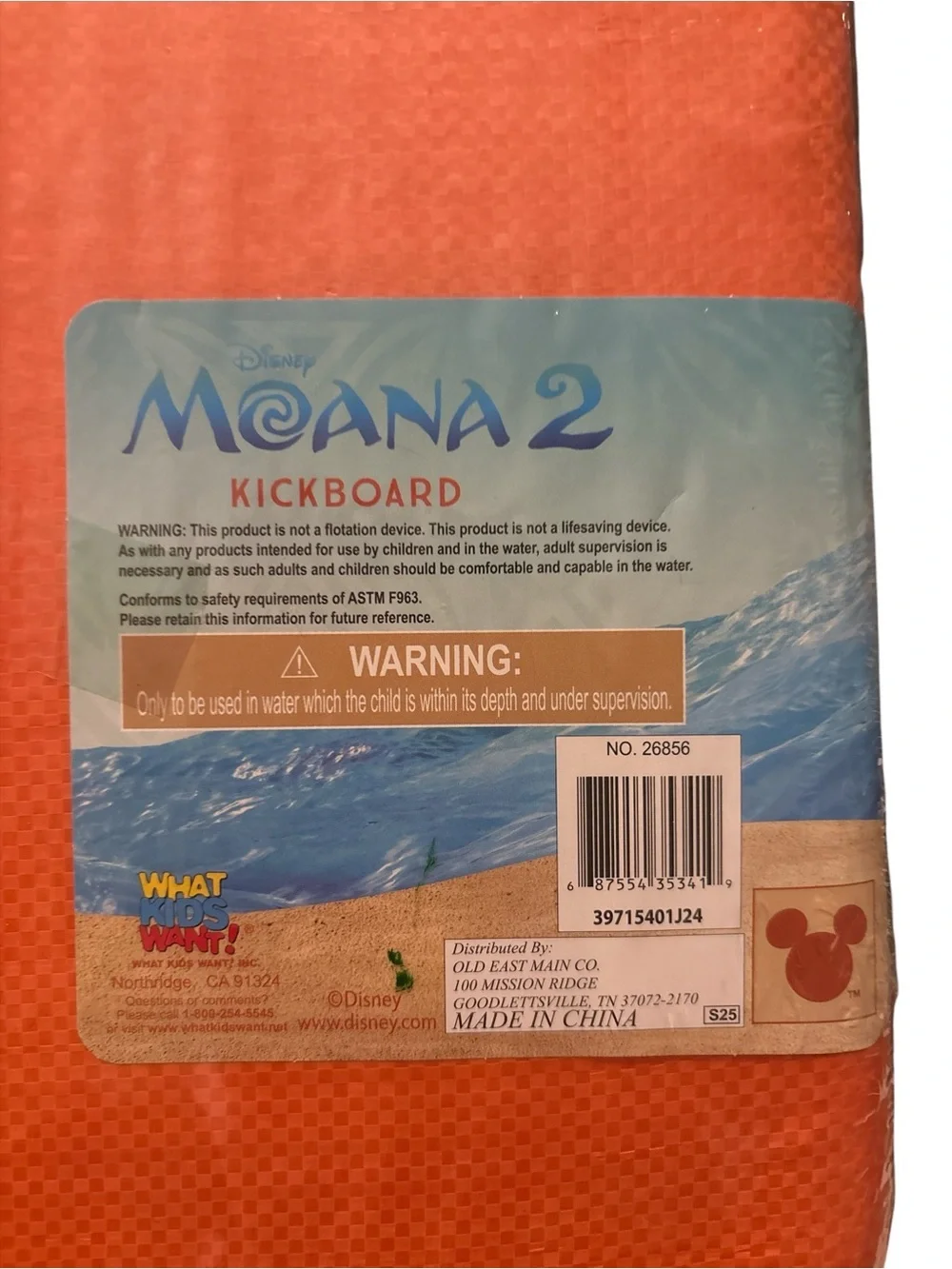 Disney Moana 2 Kickboard